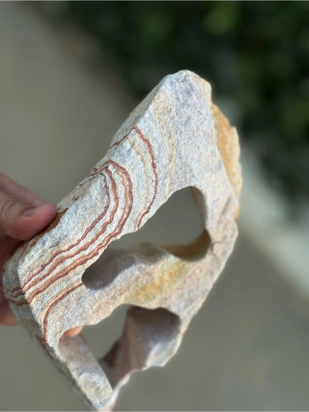 Natural Sandstone Decorative Rock w/ Red & Cream Striations for Aquarium or Tank